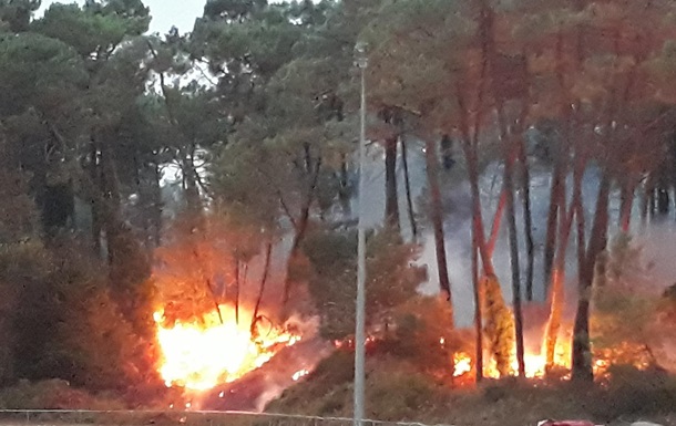 У Франції за ніч згоріли 165 гектарів лісу