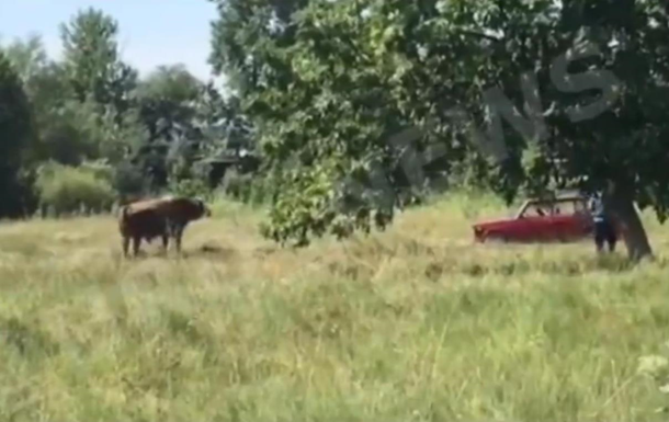 Відео фіксує момент стрілянини по бику з автомата