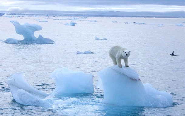 Температура в Арктиці піднялася до рекордного рівня