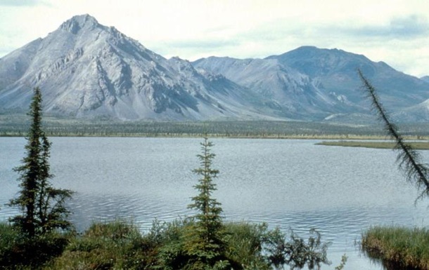 У США видобуватимуть нафту в природоохоронній зоні на Алясці 