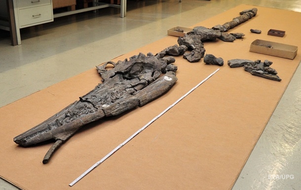 Китайські вчені виявили останки одного динозавра всередині іншого