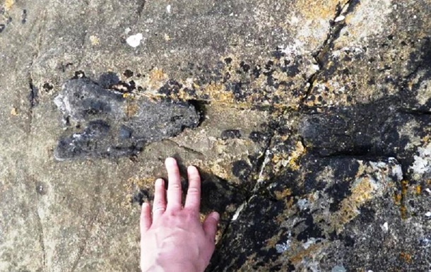 Шотландка во время пробежки нашла кость динозавра: фото