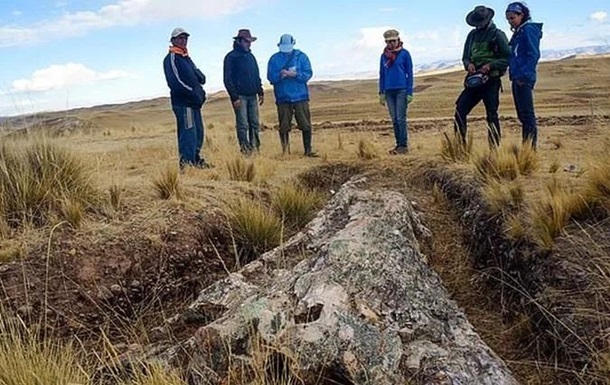 У Перу знайдено дерево віком 10 млн років