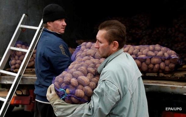 Україна увійшла в топ-3 світових лідерів з картоплі