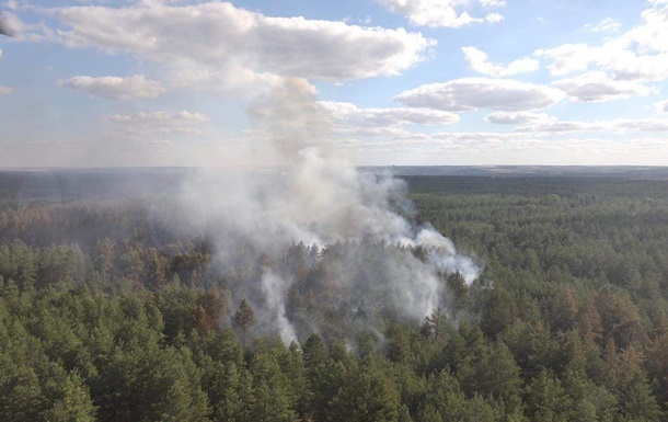 Рада підтримала посилення відповідальності за лісові пожежі