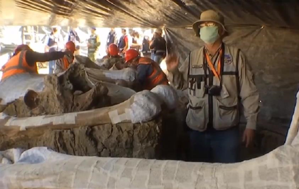 У Мексиці на будівництві знайшли сотні скелетів мамонтів