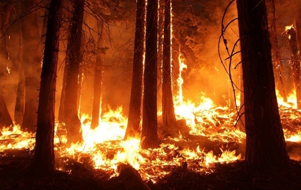 У Греції сталася пожежа в лісі