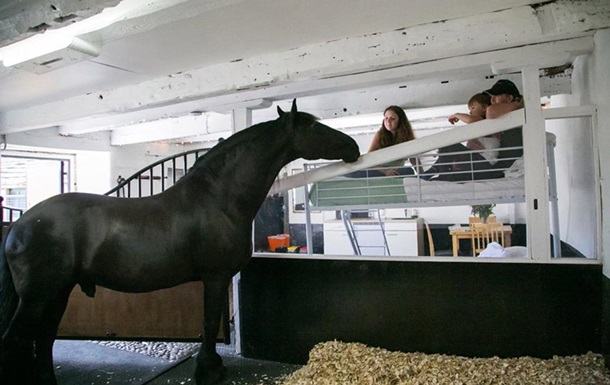 У Великій Британії відкрився готель з кіньми