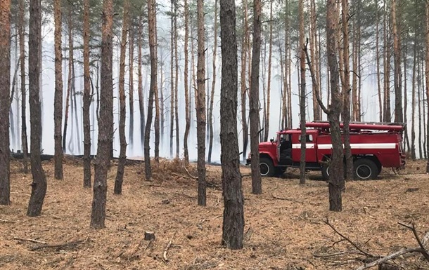 Під Дніпром сталася лісова пожежа