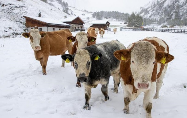 В Альпах неочікувано рано випав сніг, подекуди - рекордний рівень