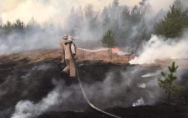 На Луганщині гасять 20 гектарів лісу