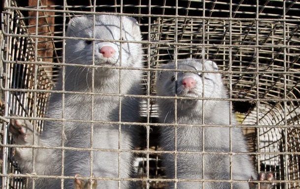 Франція заборонить хутряні ферми й диких тварин у цирках