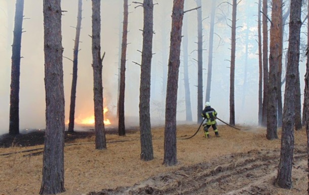 На Луганщині масштабні пожежі, евакуюють села