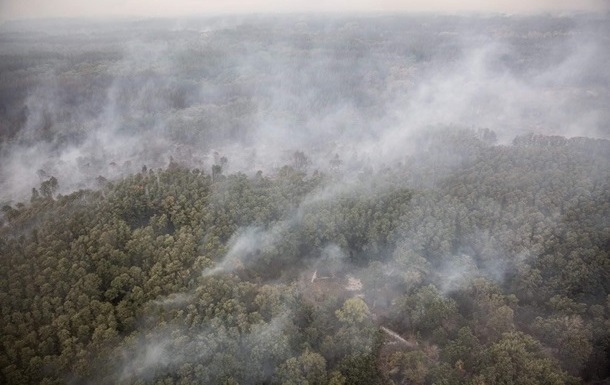 С начала года в Украине горели 25 тысяч га леса