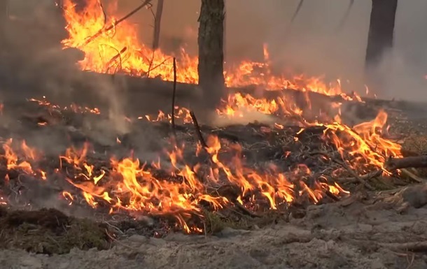 В МВС назвали причини і наслідки пожеж у Луганській області