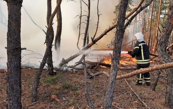 Пожежі на Луганщині: чиновників ДСНС підозрюють у недбалості
