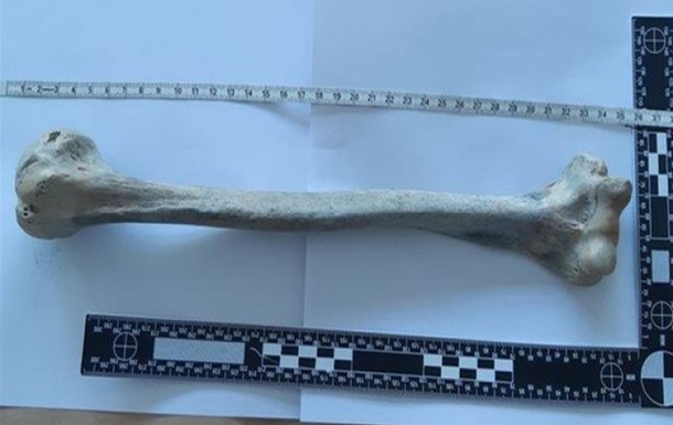 Чоловік на прогулянці знайшов стародавню людську кістку