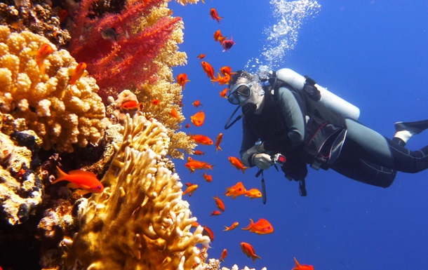 В Австралії створюють Ноїв Ковчег живих коралів