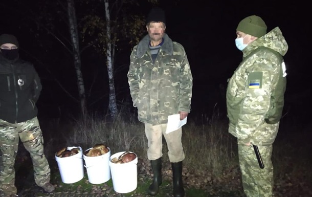 Прикордонники вилучили 40 кг чорнобильських грибів