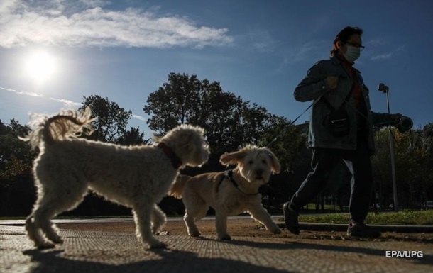 Власників собак закликали дотримуватися соціальної дистанції між тваринами