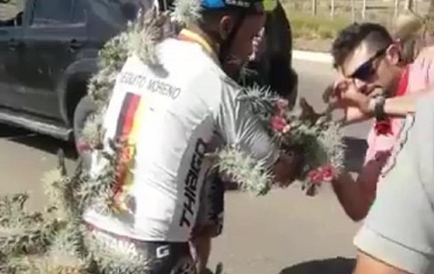 В Аргентині велосипедист поранився голками кактуса