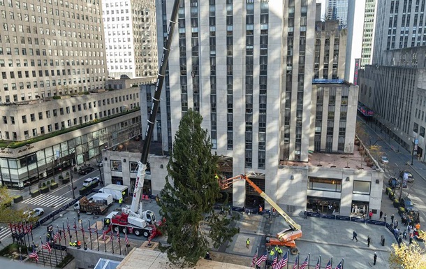 В Нью-Йорке установили главную рождественскую ель