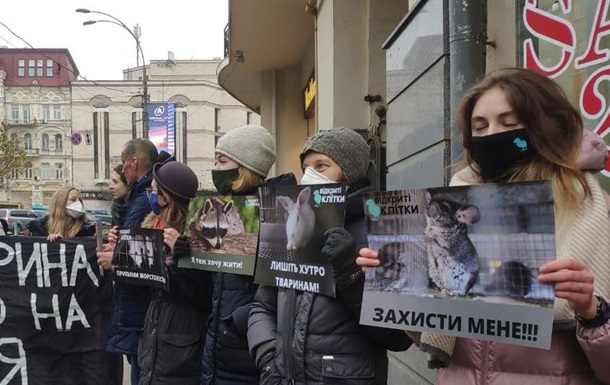 Активісти вийшли на акцію в Києві до Всесвітнього дня без хутра