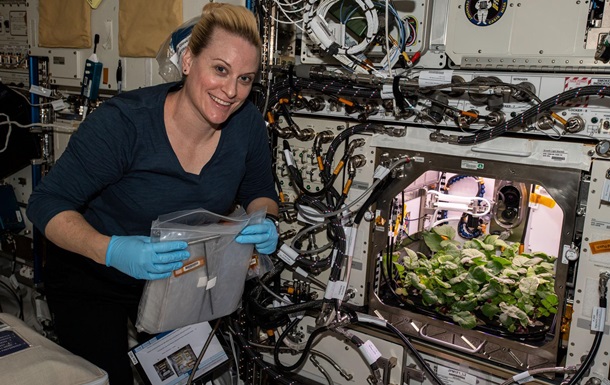 Астронавты собрали на МКС первый урожай редиса