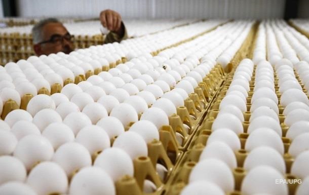 У ЄС знайшли сальмонелу в українських яйцях