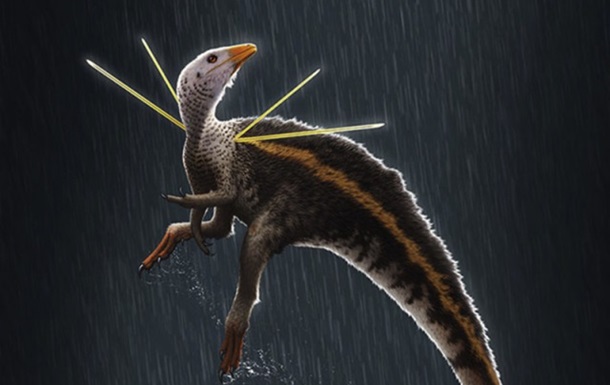 Найден новый вид динозавров с меховой гривой