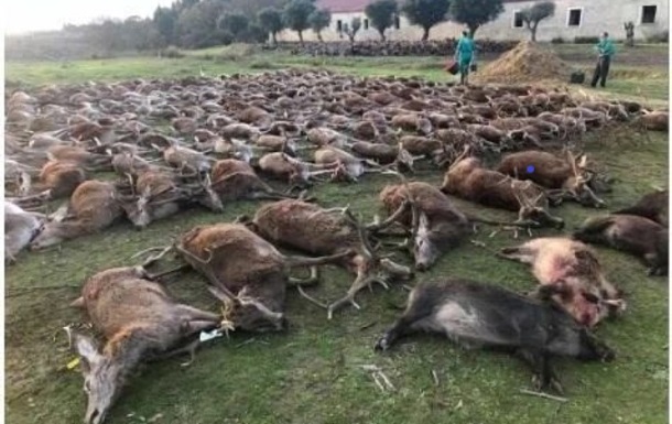 В Португалии охотники убили сотни животных и опубликовали их фото в Сети