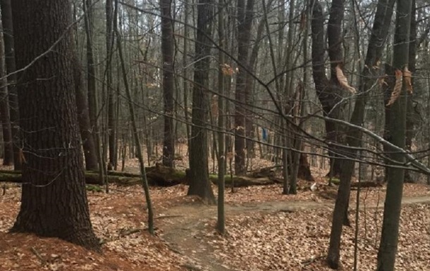 На Чернігівщині в лісі знайдено тіло прокурора
