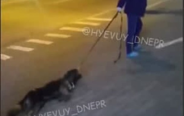 У Дніпрі жінка тягнула дорогою собаку без ознак життя