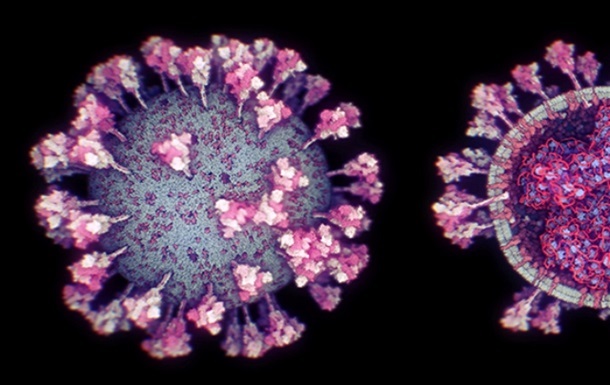 Вчені виявили фермент, який допомагає розмножуватися коронавірусу