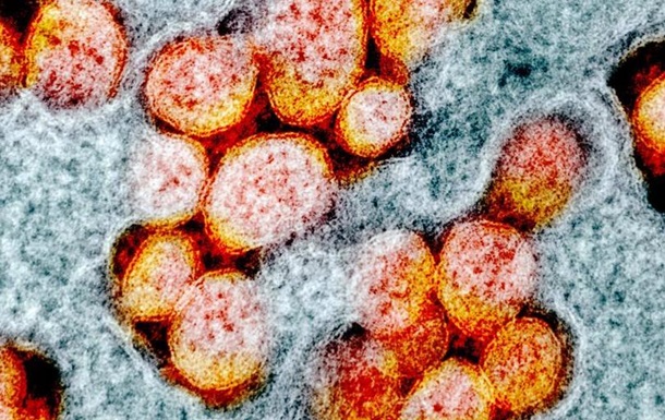 Слабкі вакцини сприяють небезпечним мутаціям коронавірусу