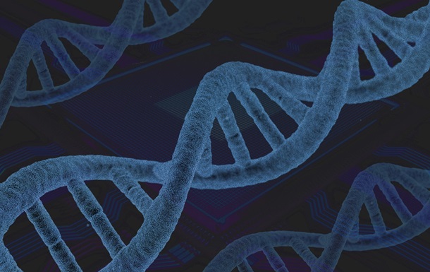 У геномі людини виявили нові гени, пов язані з раком