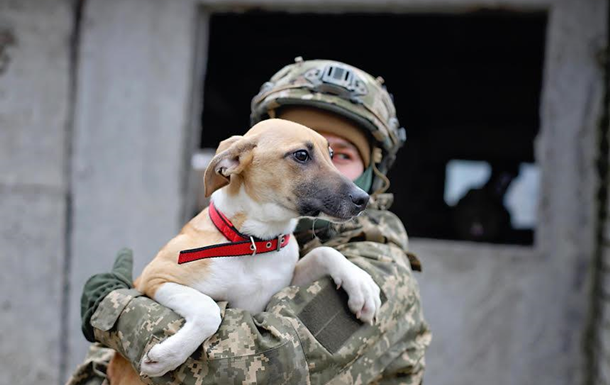 Украинские военные помогают бездомным животным найти дом