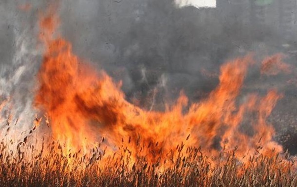 В Украине запретили выжигать траву
