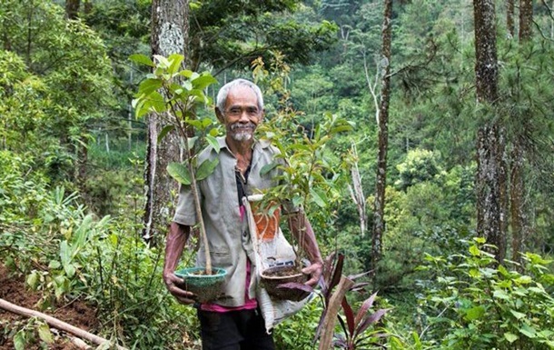 Індонезієць самостійно висадив 11 тисяч дерев