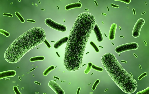 Вчені описали найдавнішу бактерію на Землі