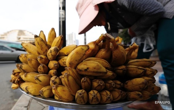 Світ без бананів. Загроза найпопулярнішому фрукту