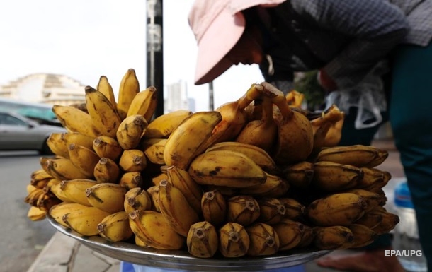 A world without bananas.  The threat to the most popular fruits