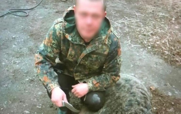 Под Киевом мужчина застрелил бездомную собаку