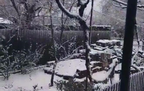 Одесскую область засыпало снегом