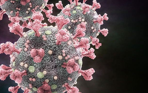 Виявлено гени, які борються з коронавірусом