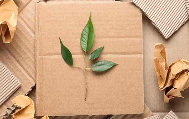 Обзор биоразлагаемой упаковки 2021 года!! Экологичная упаковка для будущего