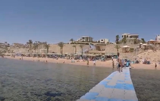 На пляжі Єгипту відпочивальники помітили акулу
