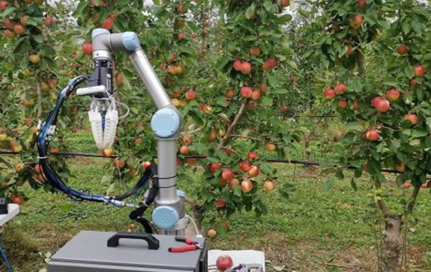 В Австралії створили робота для збирання врожаю яблук