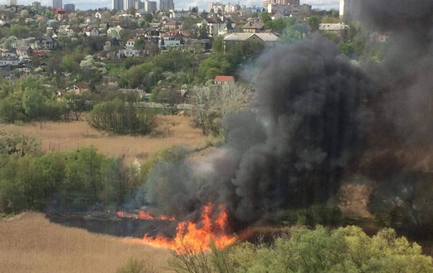 У Києві виникла пожежа в парку Совські ставки