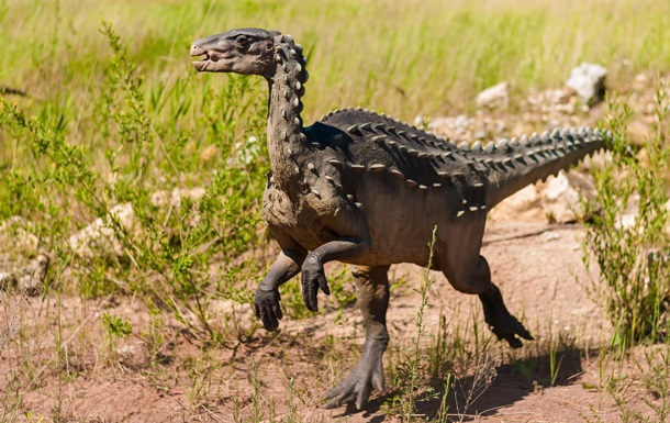 У Китаї знайшли останки динозавра невідомого виду